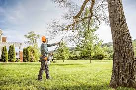 Best Tree Maintenance Programs  in Idabel, OK
