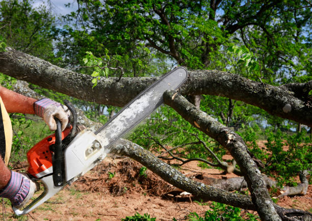 Best Lawn Irrigation Installation and Maintenance  in Idabel, OK